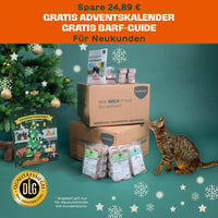 Katze sitzt neben BARFER’S Versandkartons mit Komplett-Mixen, BARF-Guide und Adventskalender vor einem geschmückten Weihnachtsbaum – gratis Adventskalender und BARF-Guide für Neukund:innen