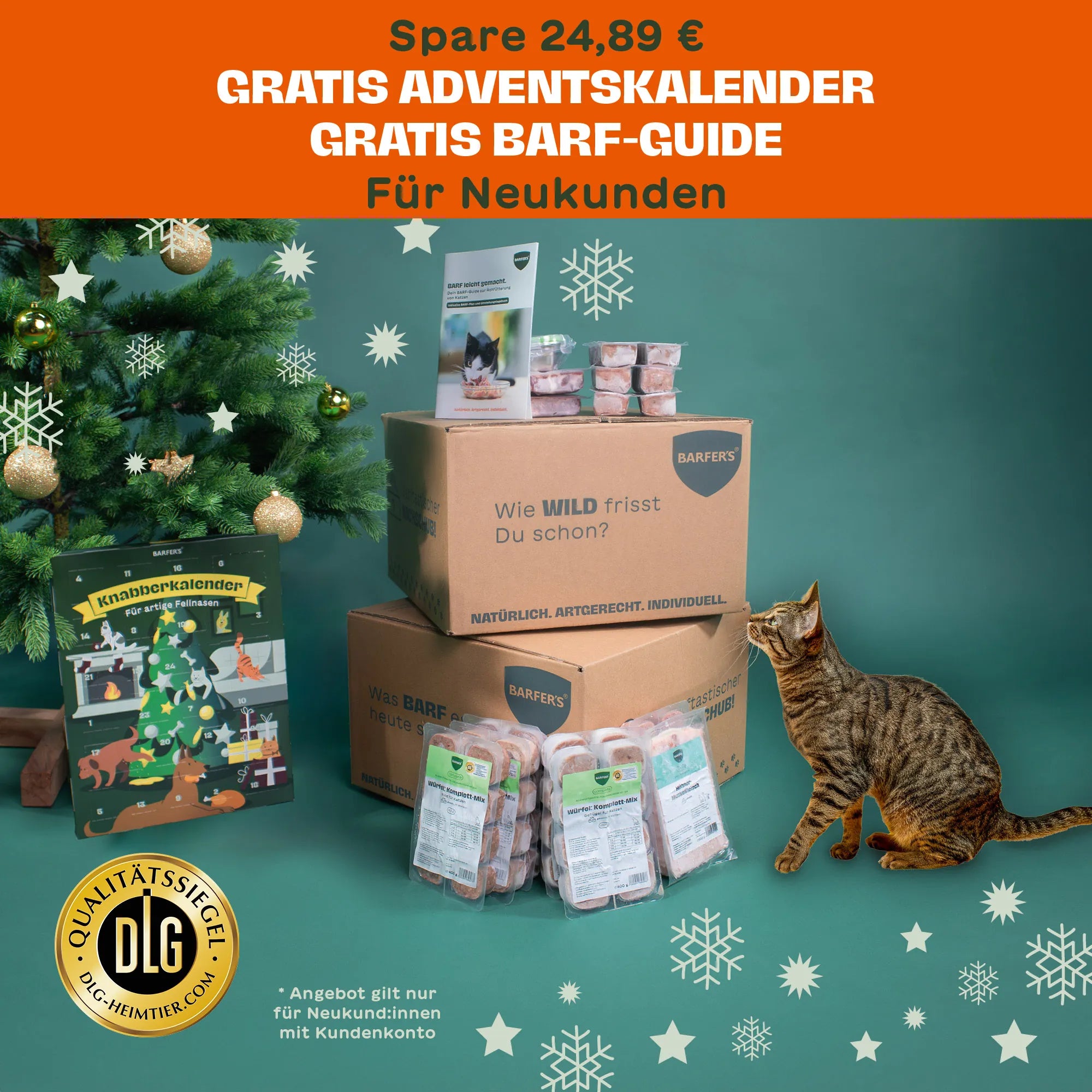 Katze sitzt neben BARFER’S Versandkartons mit Komplett-Mixen, BARF-Guide und Adventskalender vor einem geschmückten Weihnachtsbaum – gratis Adventskalender und BARF-Guide für Neukund:innen
