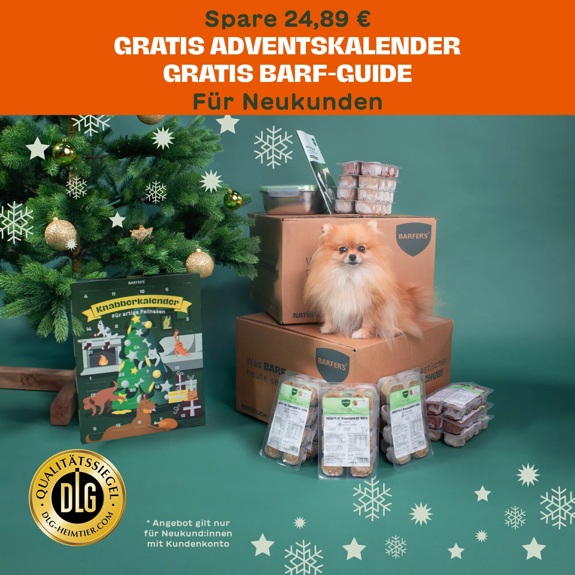 Zwergspitz-Hund sitzt neben BARFER’S Versandkartons mit Komplett-Mixen, BARF-Guide und Adventskalender vor einem geschmückten Weihnachtsbaum – gratis Adventskalender und BARF-Guide für Neukund:innen