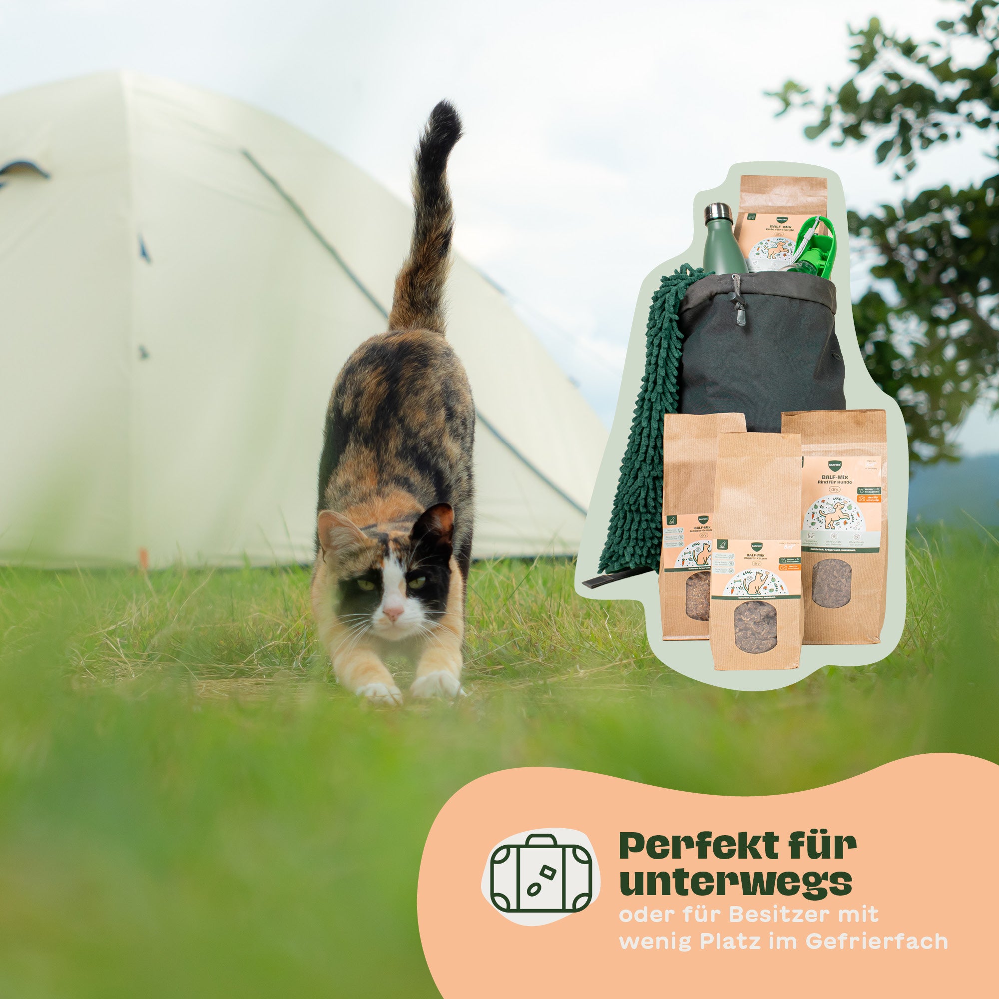 BALF-Mix Schwein für Katzen