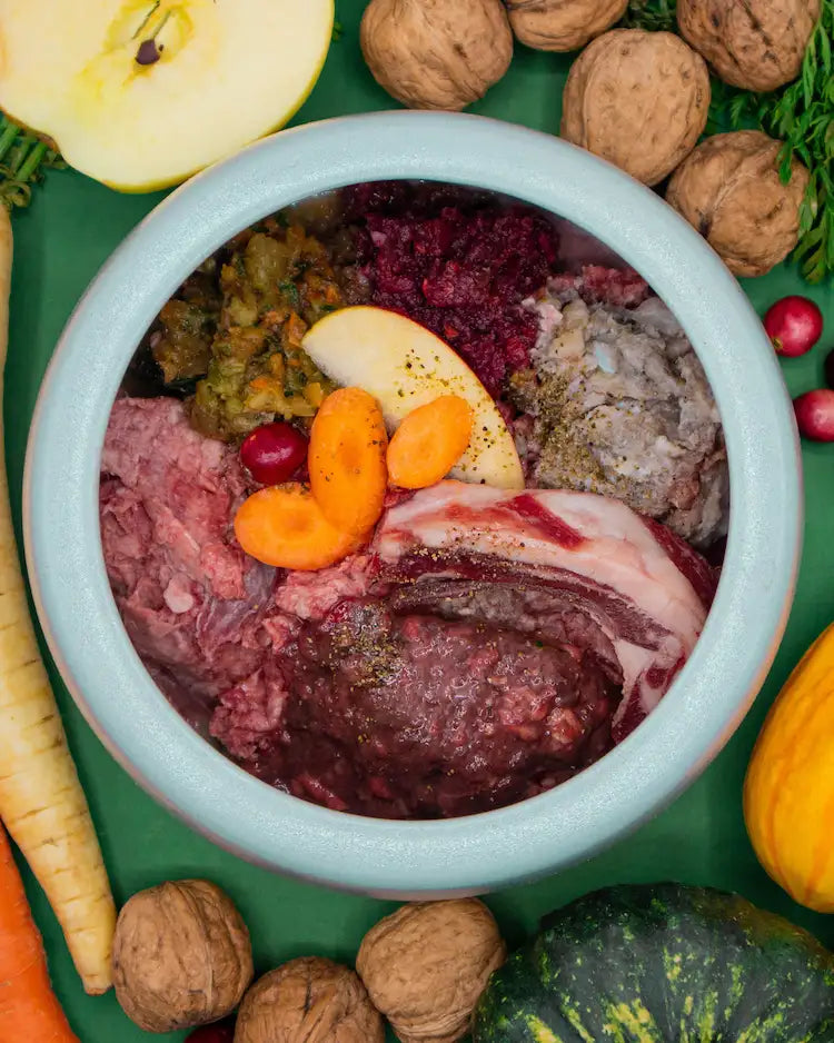 BARF-Napf von oben mit rohem Fleisch, rohen fleischigen Knochen, Innereien und püriertem Obst und Gemüse, daneben frische pflanzliche BARF-Zutaten wie Möhren, Kürbis, Äpfel und Walnüsse