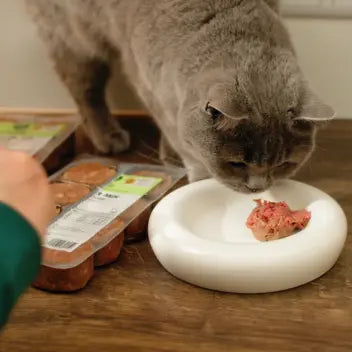 Graue Katze frisst eine Portion rohes BARF aus einem weißen Napf, daneben hält eine Hand eine Schale mit portionierten BARF-Packungen