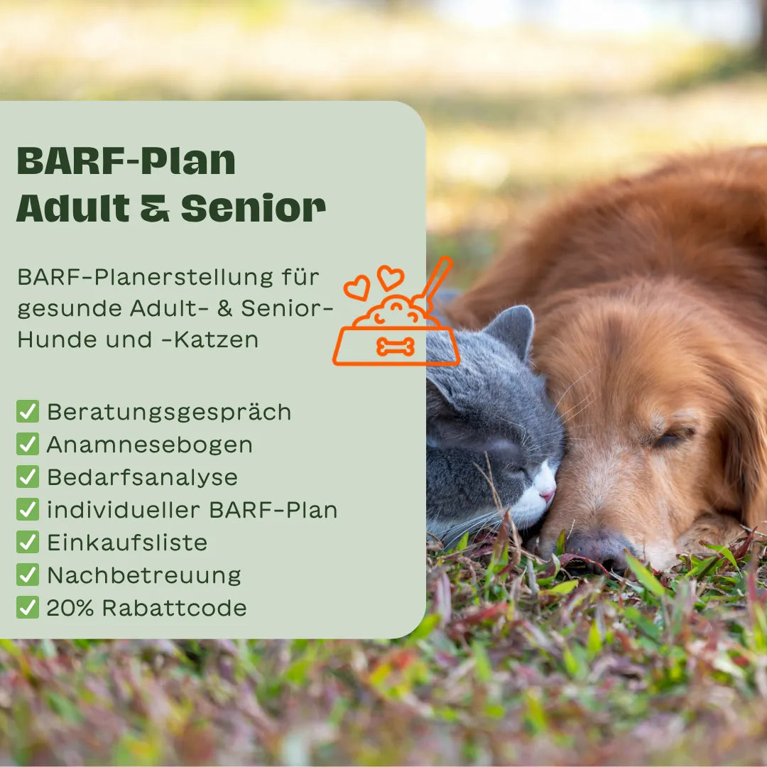 Schlafender Hund und schlafende Katze liegen eng aneinander, links ein Infokasten mit dem Text „BARF-Plan Adult & Senior“ und Checkliste mit Beratungsgespräch, Anamnesebogen, Bedarfsanalyse, individuellem BARF-Plan, Einkaufsliste, Nachbetreuung und 20 % Rabattcode