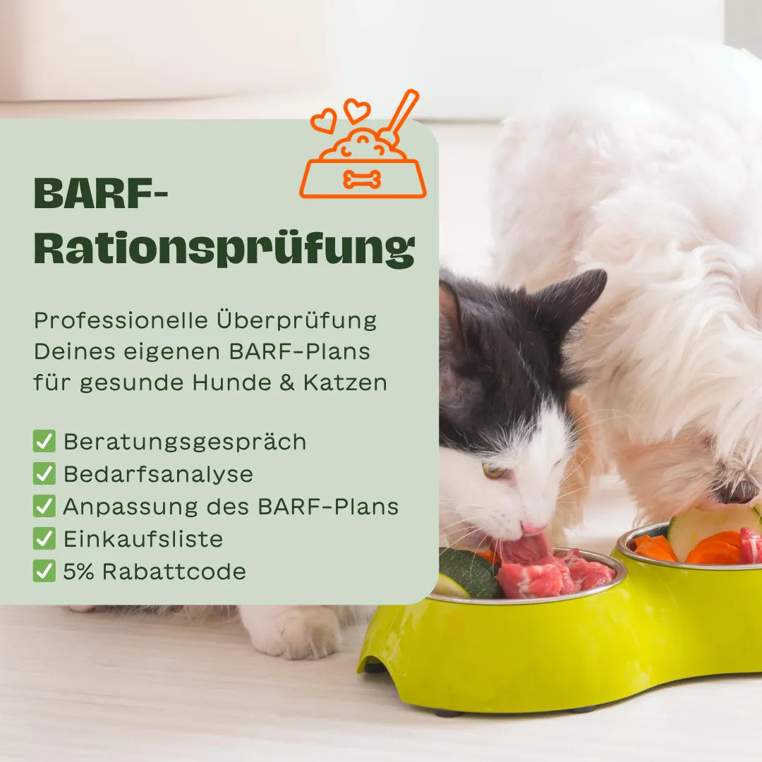 Eine Katze und ein Hund fressen nebeneinander aus Futternäpfen, links ein Infokasten mit dem Text „BARF-Rationsprüfung“ und Checkliste mit Beratungsgespräch, Bedarfsanalyse, Anpassung des BARF-Plans, Einkaufsliste und 5 % Rabattcode