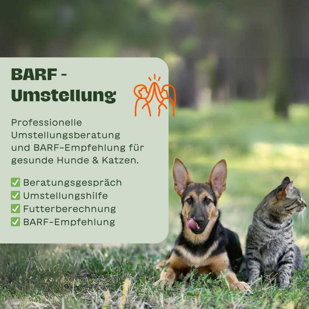Deutscher Schäferhund und Katze sitzen nebeneinander auf einer Wiese, links ein Infokasten mit dem Text „BARF-Umstellung“ und Checkliste mit Beratungsgespräch, Umstellungshilfe, Futterberechnung und BARF-Empfehlung.
