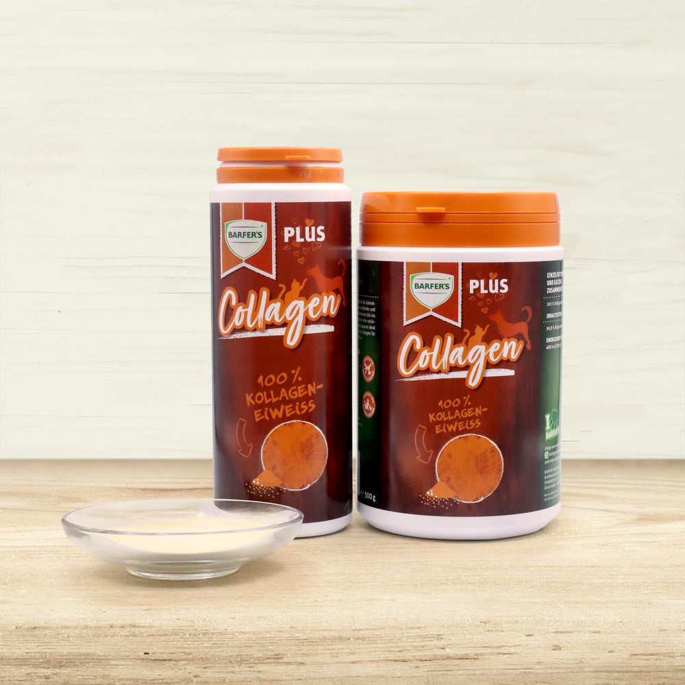 Collagen