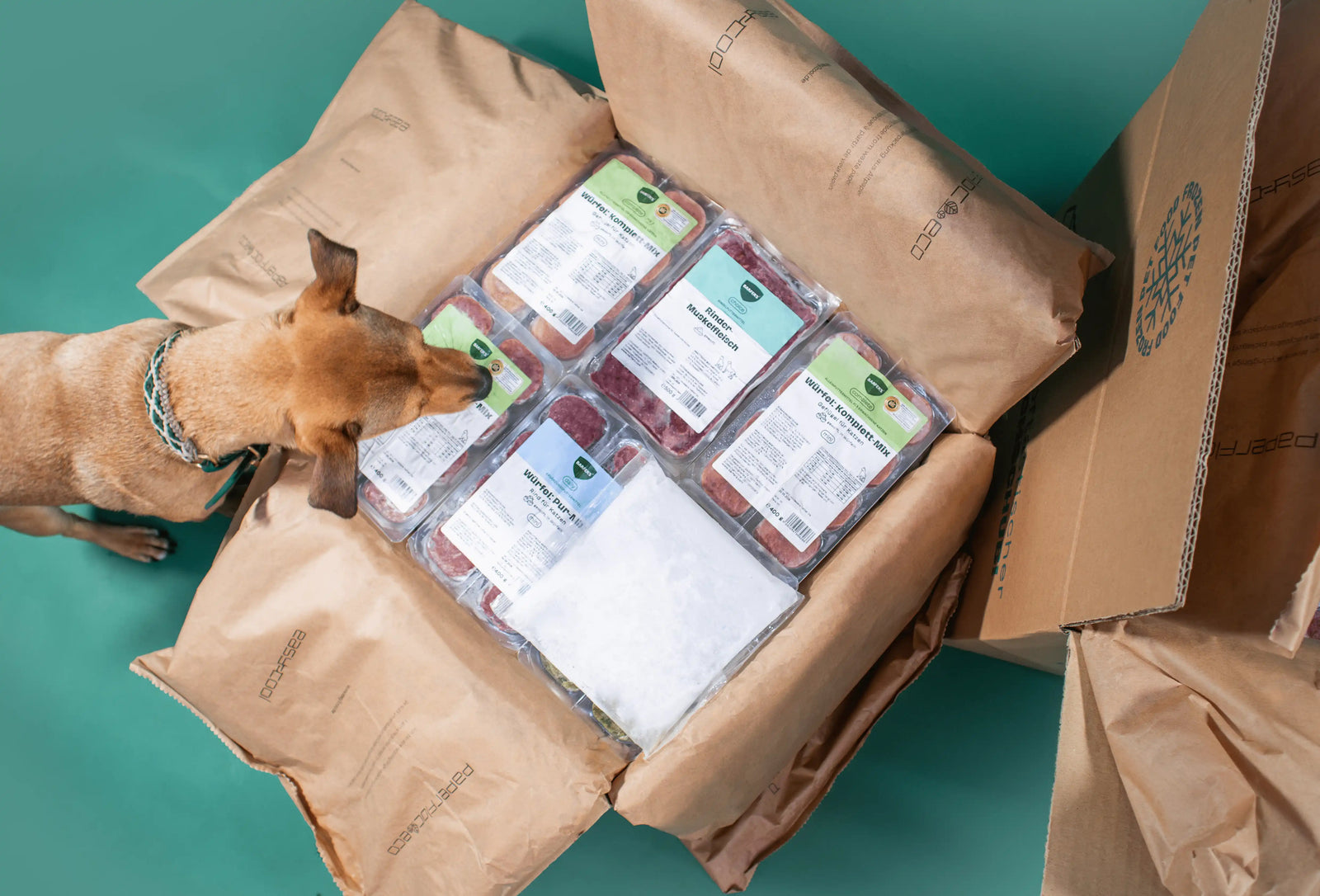 Ein Hund schaut in einen geöffneten BARFER'S Versandkarton mit nachhaltiger Paperfloc-Verpackung aus Recyclingpapier und BARF-Produkten.