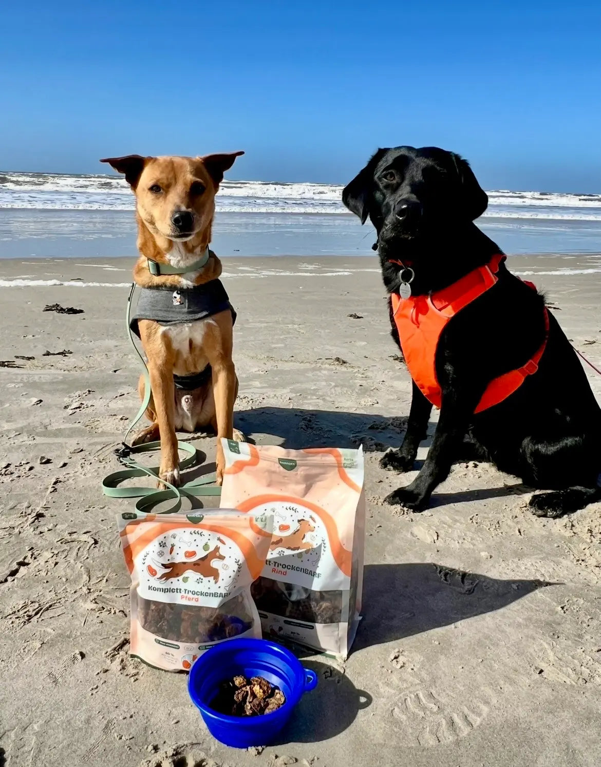Ein brauner Hund und ein schwarzer Labrador sitzen am Strand vor dem Meer, vor ihnen stehen zwei Beutel BARFER’S Komplett-TrockenBARF Rind und Pferd sowie ein blauer Napf mit TrockenBARF-Stücken im Sand