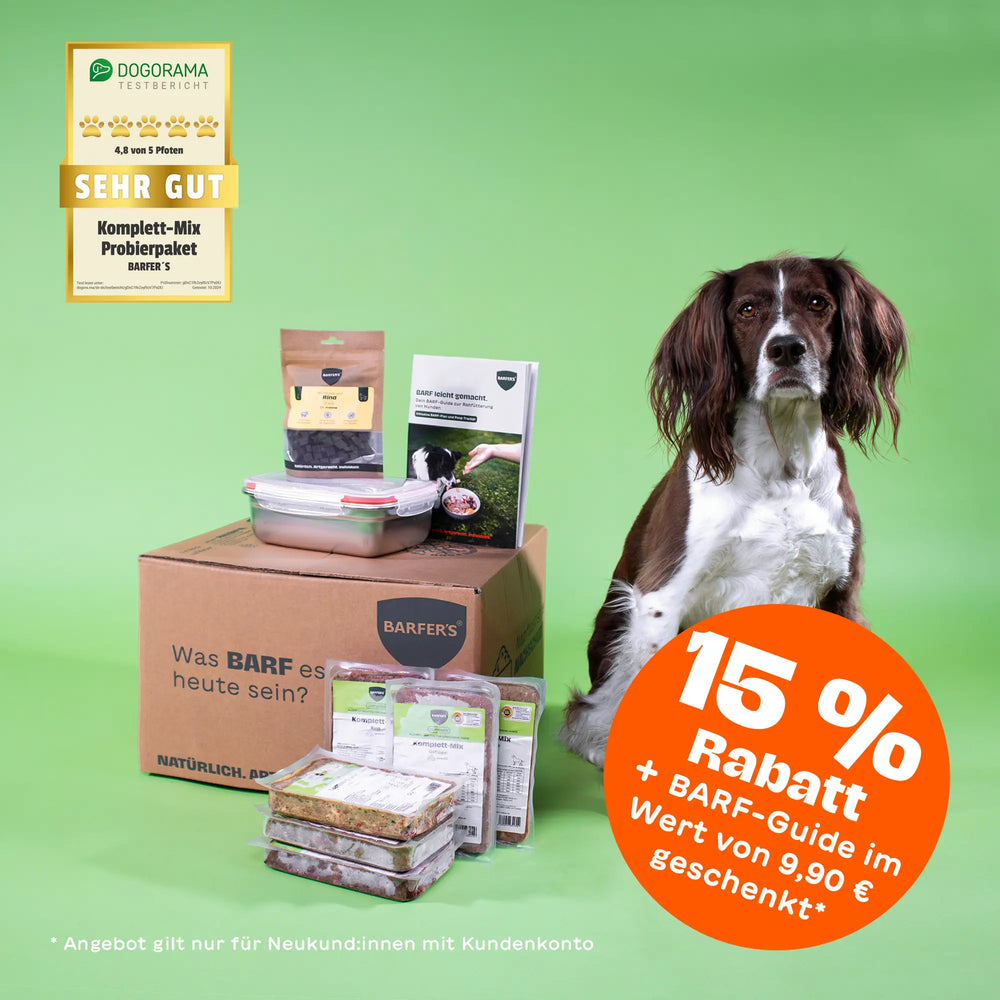 Braun-weißer Hund sitzt neben BARFER’S Komplett-Mix Probierpaket mit gefrorenen BARF-Menüs, Snacks und Guide auf Karton mit BARFER’S Logo und Aufdruck „Was BARF es heute sein?“ sowie Dogorama Testsiegel „Sehr gut“ und orangem Badge „15 % Rabatt + BARF-Guide im Wert von 9,90 € geschenkt“