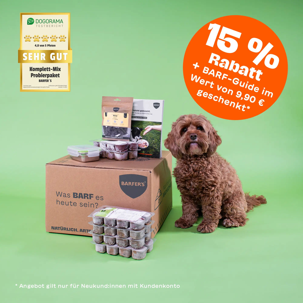 Kleiner brauner Hund sitzt neben BARFER’S Komplett-Mix Probierpaket mit gefrorenen BARF-Würfeln, Snacks und Guide auf Karton mit Aufdruck „Was BARF es heute sein?“ sowie Dogorama Testsiegel „Sehr gut“ und orangem Badge „15 % Rabatt + BARF-Guide im Wert von 9,90 € geschenkt“