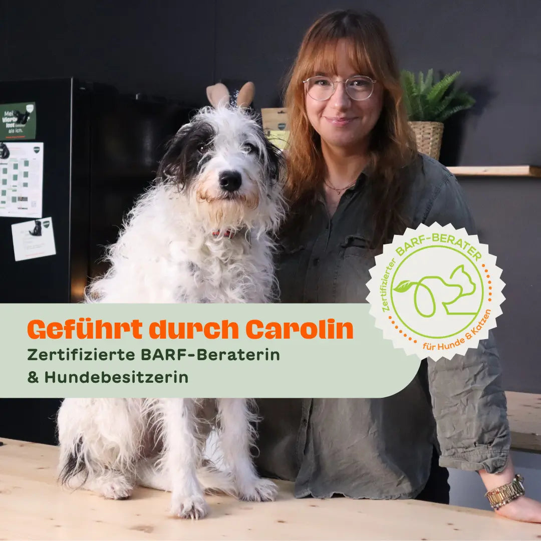 Frau mit zotteligem Hund an einem Holztisch – Text-Overlay: „Geführt durch Carolin – Zertifizierte BARF-Beraterin & Hundebesitzerin" – Siegel: „Zertifizierter BARF-Berater für Hunde & Katzen"