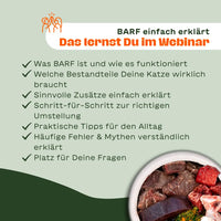 Napf mit rohem BARF-Fleisch – Text-Overlay: „BARF einfach erklärt – Das lernst Du im Webinar: Was BARF ist und wie es funktioniert, welche Bestandteile Deine Katze wirklich braucht, sinnvolle Zusätze einfach erklärt, Schritt-für-Schritt zur richtigen Umstellung, praktische Tipps für den Alltag, häufige Fehler & Mythen verständlich erklärt, Platz für Deine Fragen"