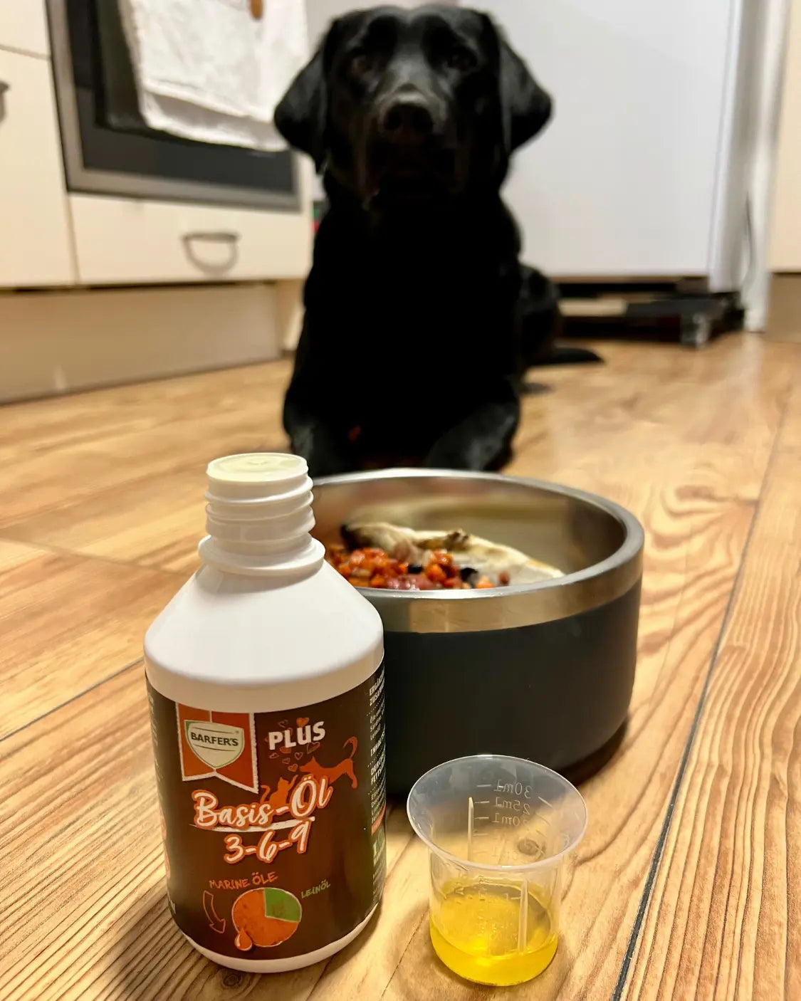 Schwarzer Labrador sitzt vor einem Napf mit BARF-Mahlzeit – im Vordergrund eine Flasche BARFER'S PLUS Basis-Öl 3-6-9 mit Marine-Ölen und Leinöl sowie ein kleiner Messbecher mit abgemessenem Öl