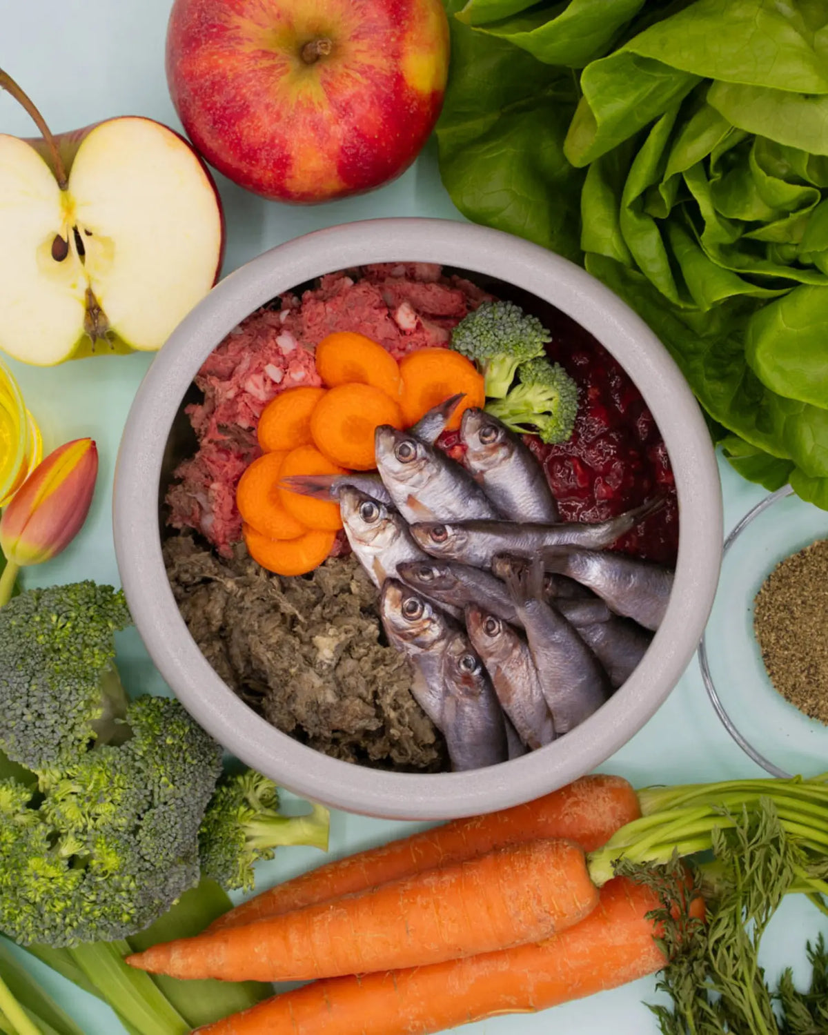 Napf mit BARF-Zutaten aus Fleisch, Sprotten, Karotten, Brokkoli, Pansen und roten Beeren, umgeben von Äpfeln, Feldsalat und Karotten