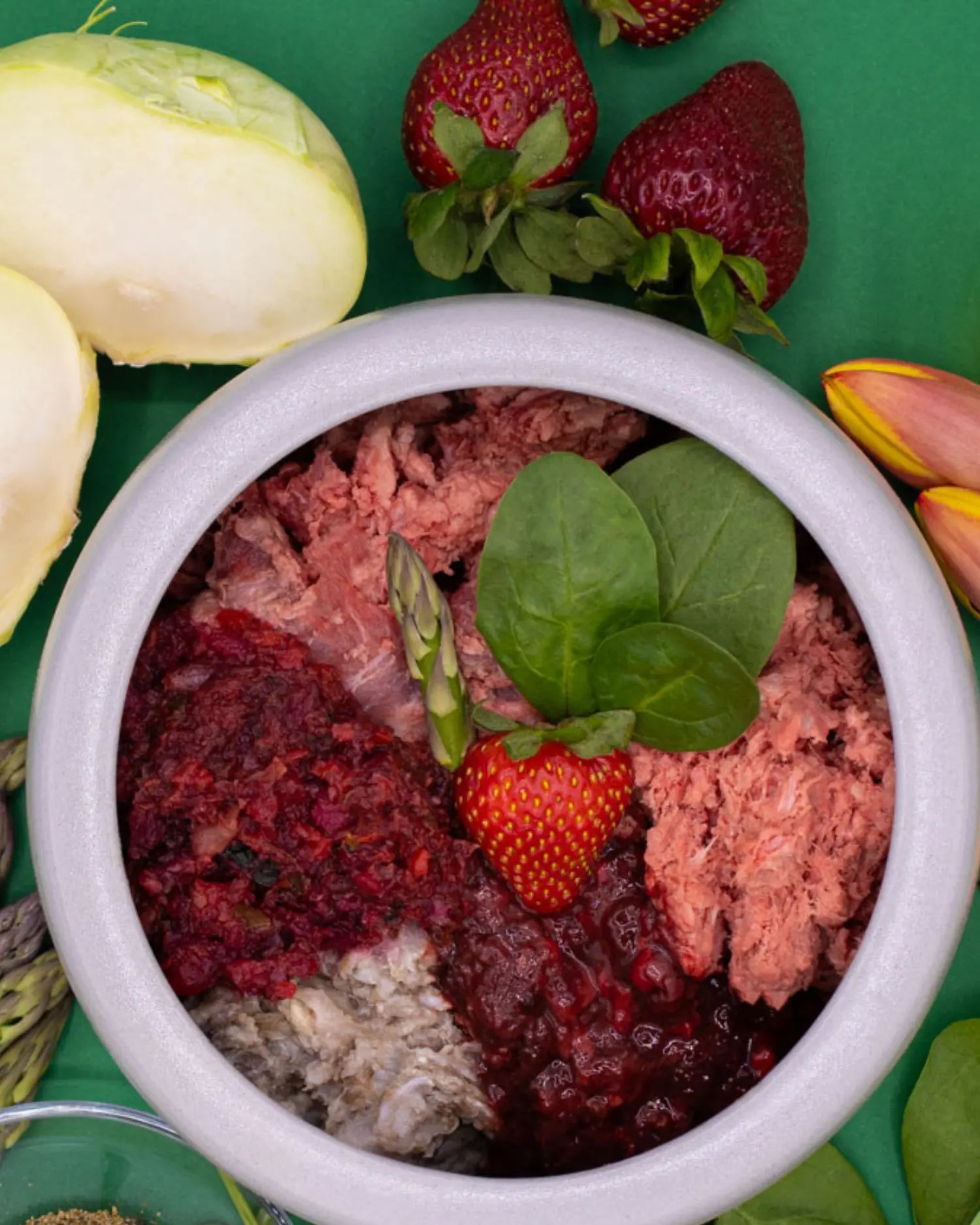 Napf mit roher Hundenahrung und pürierten sowie frischen Erdbeeren, garniert mit Blattgrün – umgeben von Zutaten wie Apfel und Spargel auf grünem Hintergrund