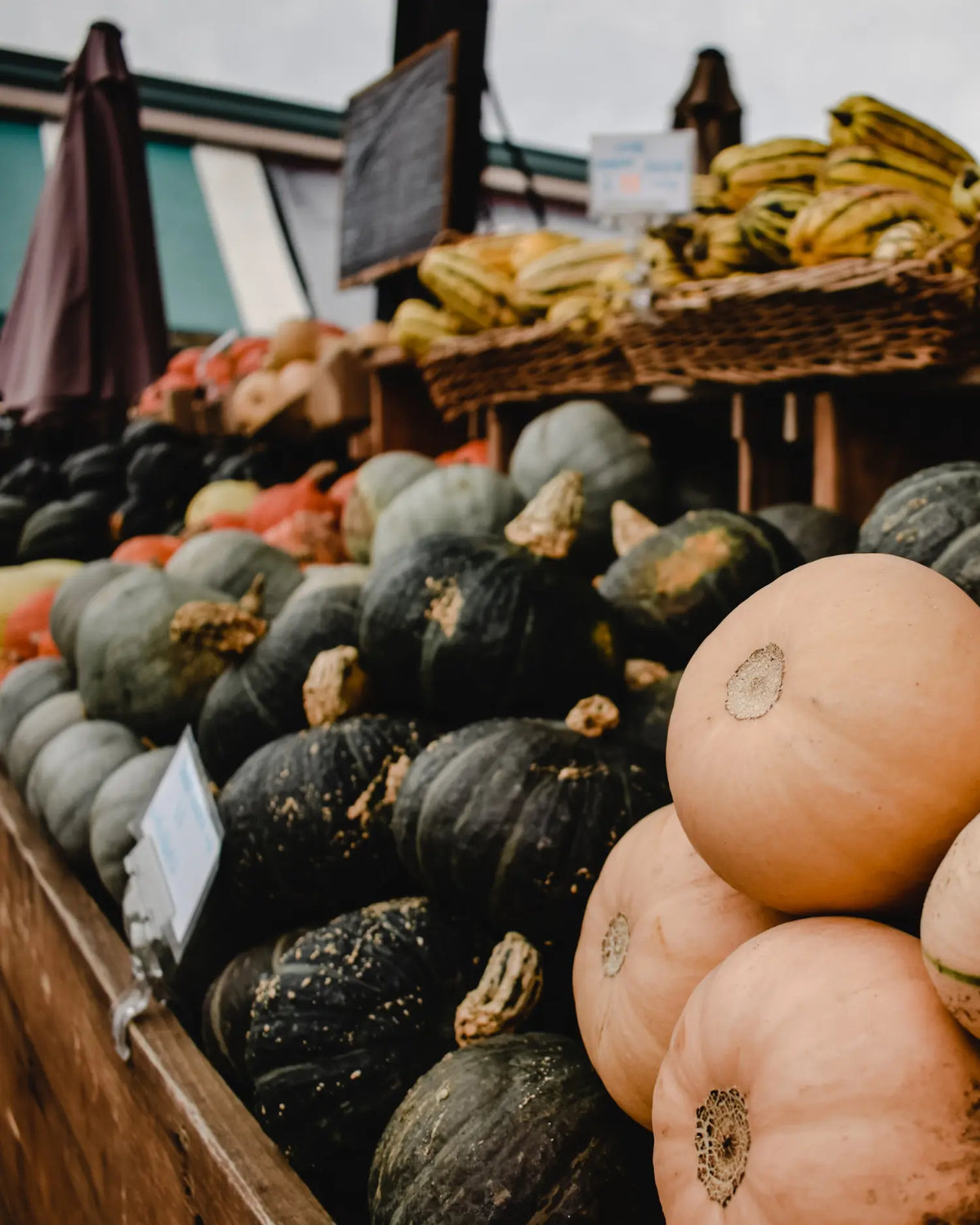 Verschiedene essbare Kürbissorten in Grün und Orange auf einem Marktstand