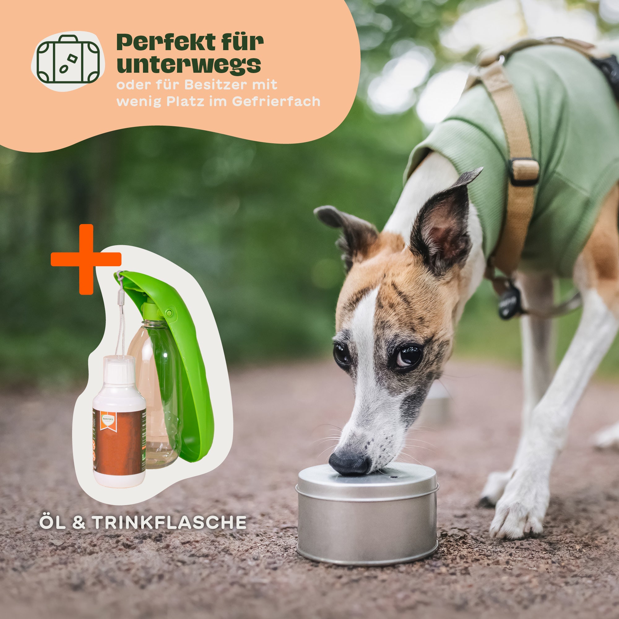 Abenteuer-Paket Rind für Hunde