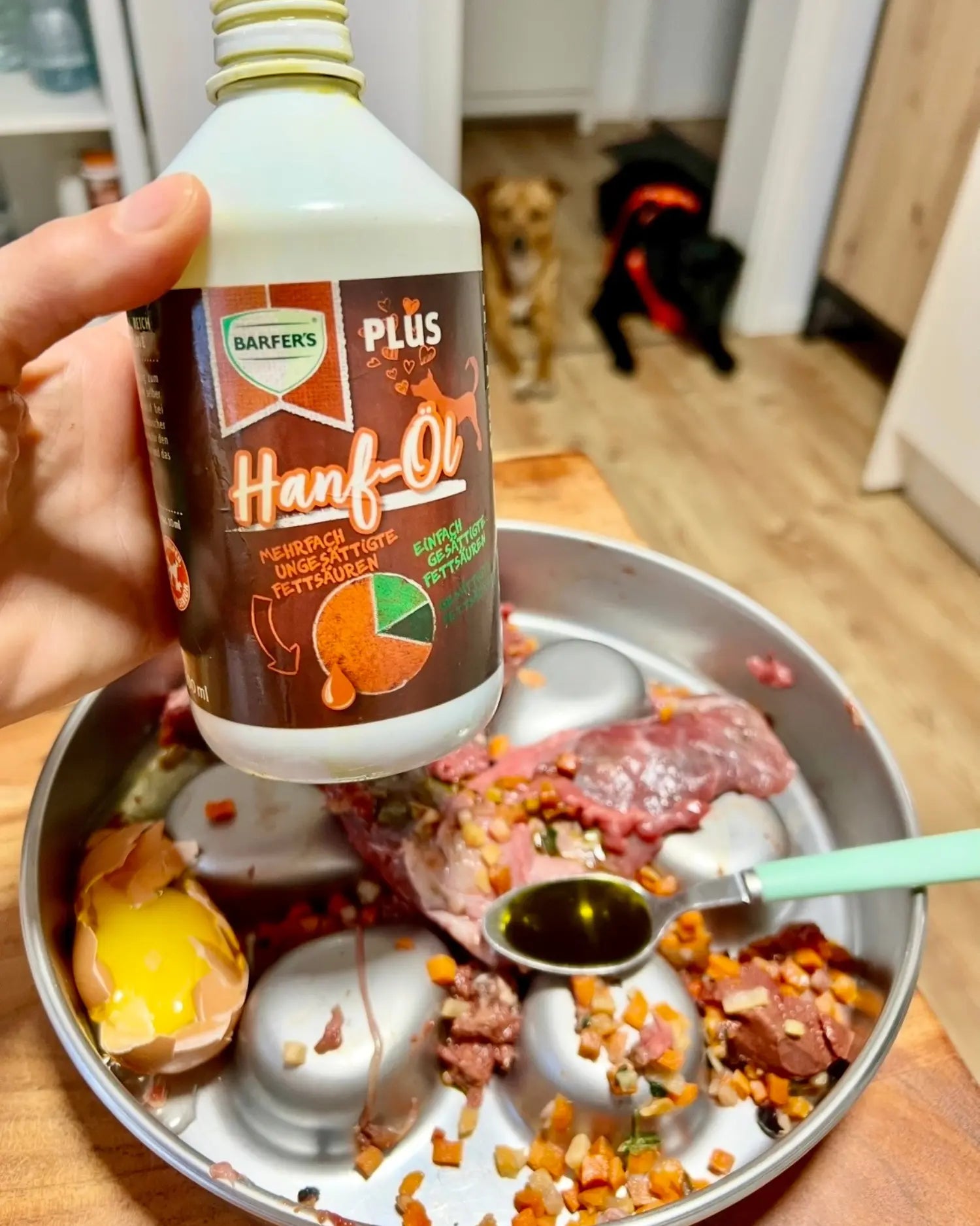 Eine Hand hält eine Flasche BARFER’S PLUS Hanf-Öl (mit Aufschrift „Mehrfach ungesättigte Fettsäuren“ und „Einfach gesättigte Fettsäuren“) über einen BARF-Napf mit rohem Fleisch, gewolftem Gemüse, einem aufgeschlagenen Ei und einem Löffel Öl; im Hintergrund stehen zwei Hunde unscharf auf einem Holzboden und schauen gespannt zu