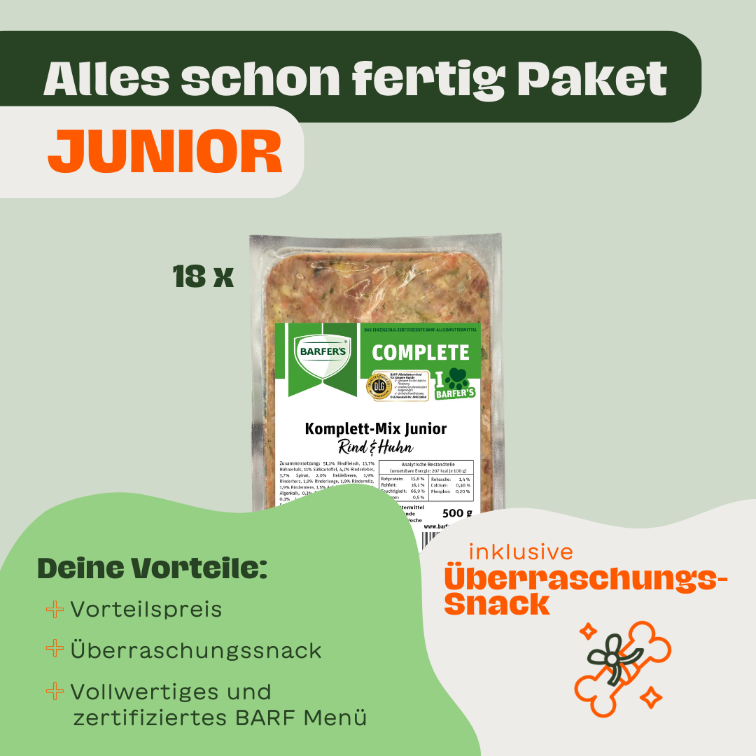 Das "Alles schon fertig" Paket - Junior Rind & Huhn