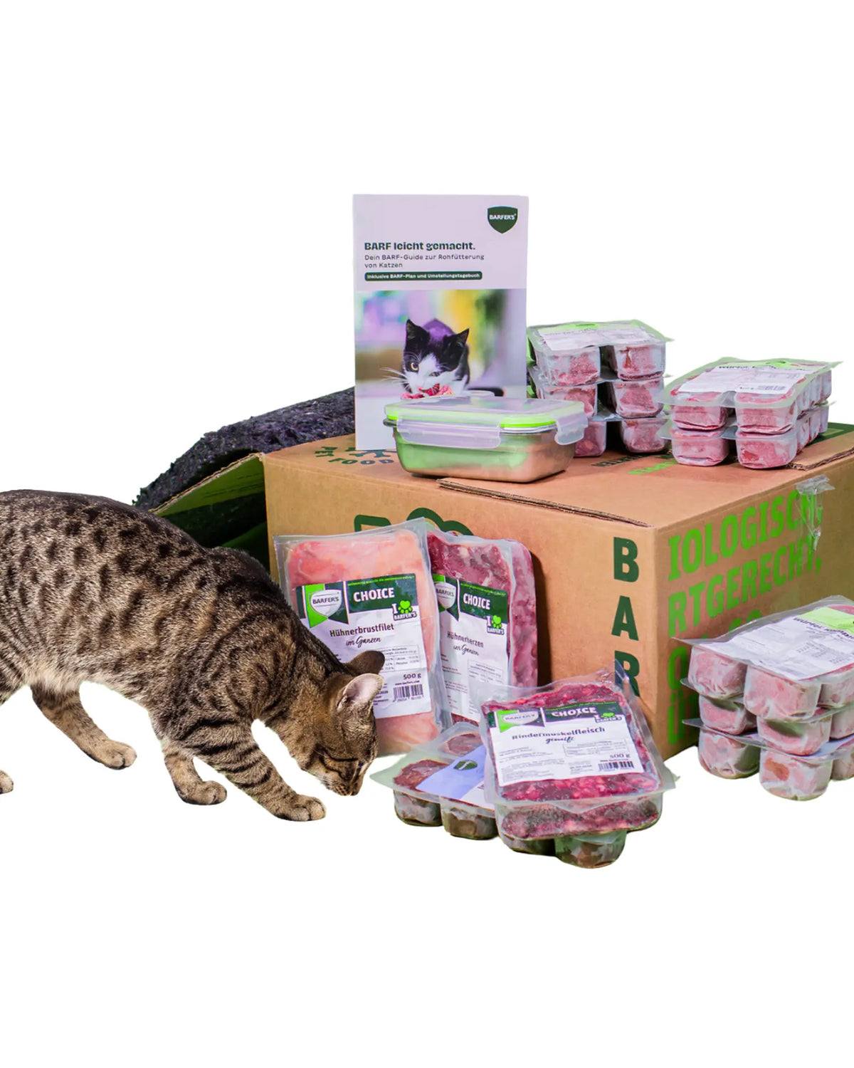 Katze schnuppert an einer BARFER'S Box mit rohem Fleisch, BARF-Guide und Zubehör für Katzen