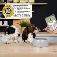 Zwei Hunde sitzen vor einem Napf, während einer von einem Löffel BARFER’S Komplett-Mix Geflügel für Hunde frisst und eine Hand die Verpackung mit Etikett und sichtbarem DLG-Qualitätssiegel hält – vollwertiges Fertigbarf mit Geflügel, Innereien, gewolften Knochen, Gemüse, Obst, hochwertigen Ölen und Seealgenmehl für die tägliche Fütterung