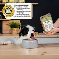 Hund sitzt vor Napf und bekommt einen Löffel BARFER’S Komplett-Mix Huhn & Lachs für Hunde gefüttert, während eine Hand die Verpackung mit Etikett und sichtbarem DLG-Qualitätssiegel zeigt – vollwertiges Fertigbarf mit Huhn, Lachs, Innereien, Knochen, Gemüse, Obst, hochwertigen Ölen und Seealgenmehl für die tägliche Fütterung