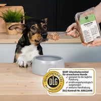 Hund sitzt vor Napf und bekommt einen Löffel BARFER’S Komplett-Mix Kaninchen & Lamm für Hunde gefüttert, während eine Hand die Verpackung mit Etikett und sichtbarem DLG-Qualitätssiegel hält – vollwertiges Fertigbarf mit Kaninchen, Lamm, Innereien, gewolften Knochen, Gemüse, Obst, hochwertigen Ölen und Seealgenmehl für die tägliche Fütterung
