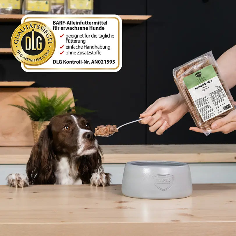 Hund sitzt vor Napf und schaut auf einen Löffel BARFER’S Komplett-Mix Lamm für Hunde, während eine Hand die Verpackung mit Etikett und sichtbarem DLG-Qualitätssiegel hält – vollwertiges Fertigbarf mit Lamm, Innereien, gewolften Knochen, Gemüse, Obst, hochwertigen Ölen und Seealgenmehl für die tägliche Fütterung