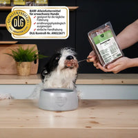 Hund sitzt vor Napf und bekommt einen Löffel BARFER’S Komplett-Mix Rind für Hunde gefüttert, während eine Hand die Verpackung mit Etikett und sichtbarem DLG-Qualitätssiegel hält – vollwertiges Fertigbarf mit Rind, Innereien, gewolften Knochen, Gemüse, Obst, hochwertigen Ölen und Seealgenmehl für die tägliche Fütterung