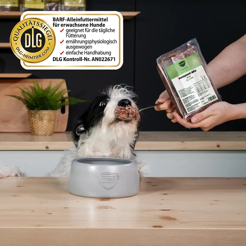 Hund sitzt vor Napf und bekommt einen Löffel BARFER’S Komplett-Mix Rind für Hunde gefüttert, während eine Hand die Verpackung mit Etikett und sichtbarem DLG-Qualitätssiegel hält – vollwertiges Fertigbarf mit Rind, Innereien, gewolften Knochen, Gemüse, Obst, hochwertigen Ölen und Seealgenmehl für die tägliche Fütterung