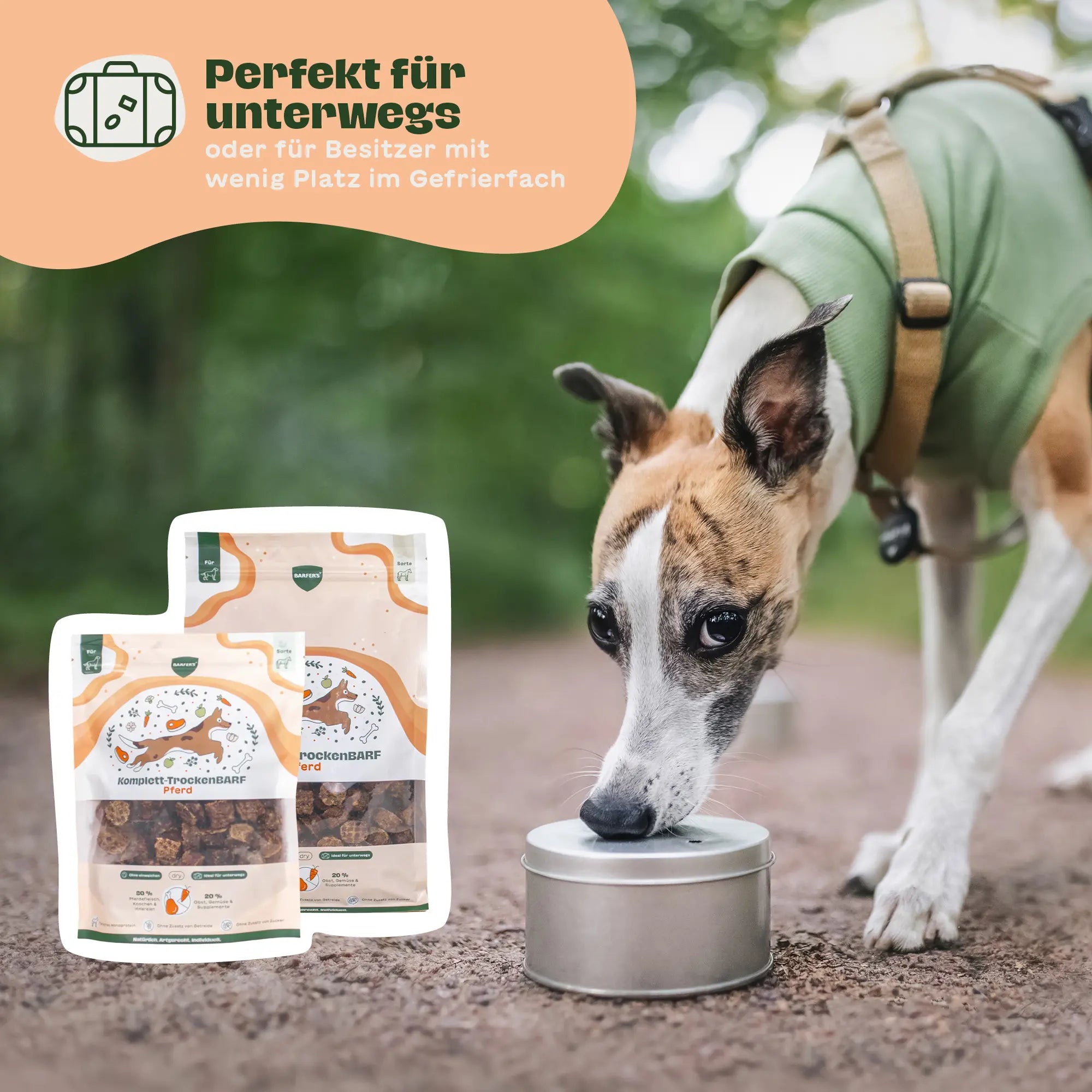 Windhund frisst unterwegs aus einer Dose im Freien, daneben zwei Verpackungen BARFER’S Komplett-TrockenBARF Pferd mit Textoverlay „Perfekt für unterwegs oder für Besitzer mit wenig Platz im Gefrierfach“
