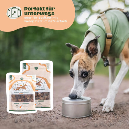 Windhund frisst unterwegs aus einer Dose im Freien, daneben zwei Verpackungen BARFER’S Komplett-TrockenBARF Pferd mit Textoverlay „Perfekt für unterwegs oder für Besitzer mit wenig Platz im Gefrierfach“