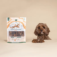 Kleiner brauner Hund sitzt neben einer 300g Verpackung BARFER’S Komplett-TrockenBARF Pferd, vor ihm liegt eine Portion der luftgetrockneten BARF-Stücke auf einem Tisch