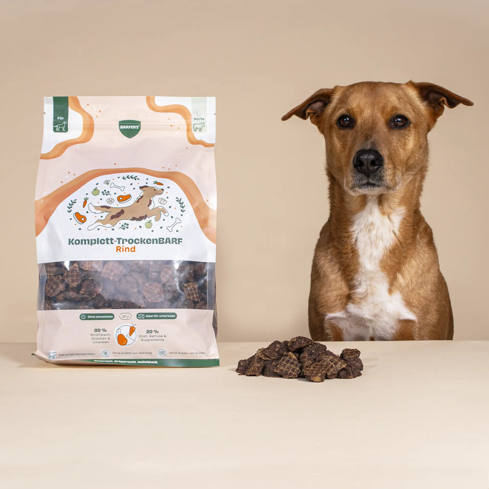 Großer Brauner Hund sitzt neben einer 1 kg Verpackung BARFER’S Komplett-TrockenBARF Rind auf hellem Hintergrund, davor liegt eine Portion der getrockneten BARF-Stücke