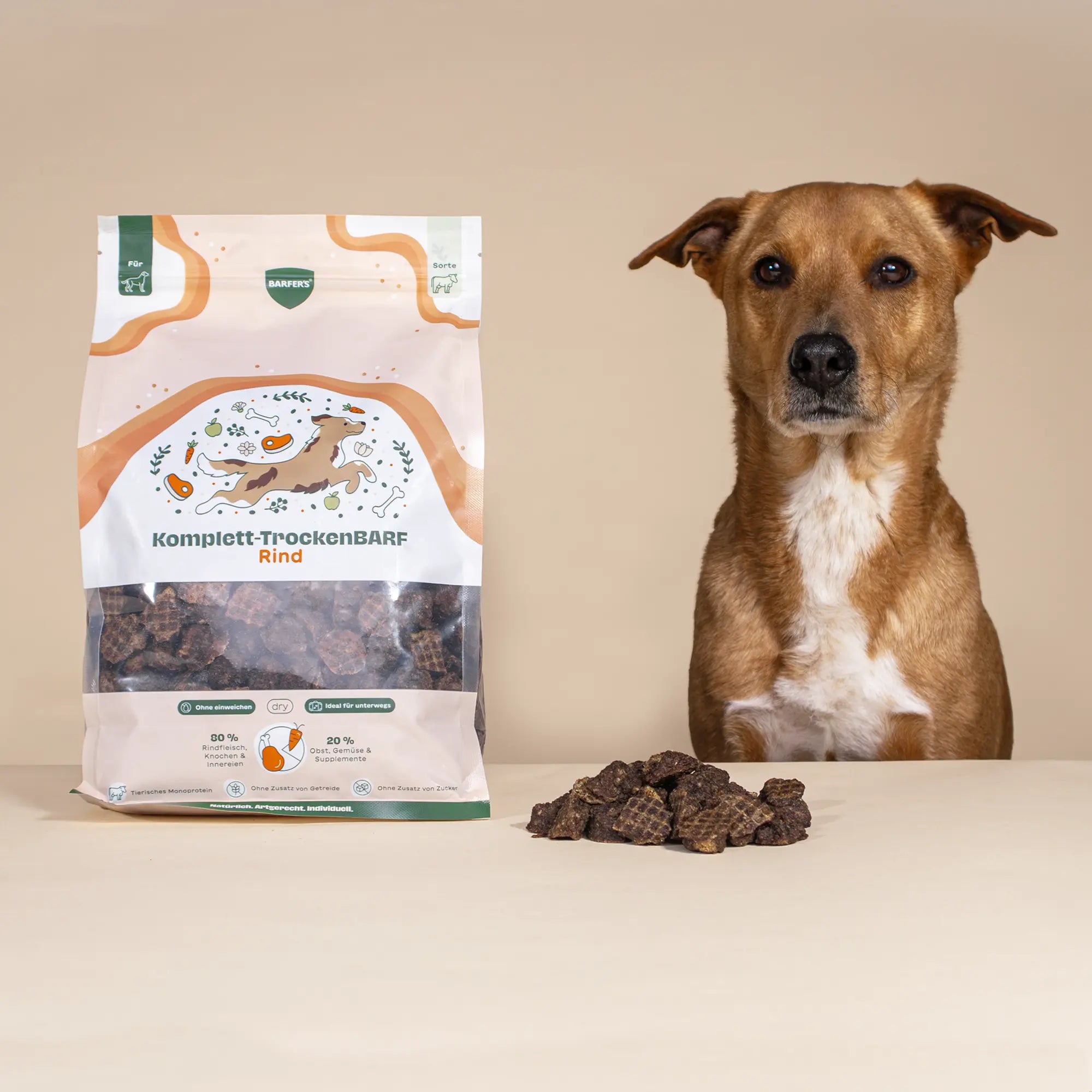 Großer Brauner Hund sitzt neben einer 1 kg Verpackung BARFER’S Komplett-TrockenBARF Rind auf hellem Hintergrund, davor liegt eine Portion der getrockneten BARF-Stücke