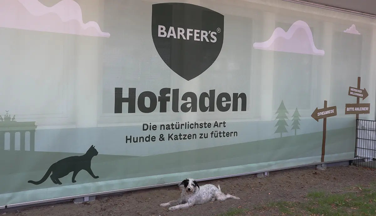 Hund liegt entspannt vor der BARFER'S Hofladen-Fassade in Berlin-Marienfelde mit Aufschrift „Die natürlichste Art Hunde & Katzen zu füttern" – daneben Hinweisschilder „Vierbeiner willkommen", „Spielwiese" und „Bitte anleinen".