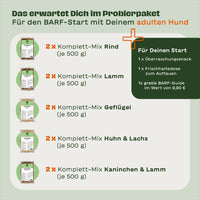 Das enthält das BARFER’S Probierpaket Adult für Hunde: 2 x Komplett-Mix Rind, 2 x Geflügel, 2 x Lamm, 2 x Kaninchen & Lamm und 2 x Huhn & Lachs – dazu ein Überraschungssnack, eine Frischhaltedose zum auftauen und ein BARF-Guide im Wert von 9,90 €