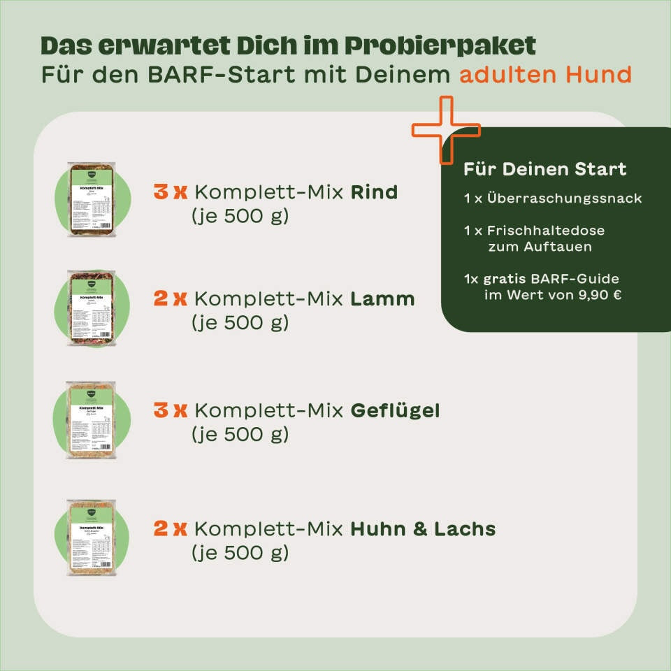Das enthält das BARFER’S Probierpaket Adult für Hunde: 3 x Komplett-Mix Rind, 3 x Geflügel, 2 x Lamm und 2 x Huhn & Lachs – dazu ein Überraschungssnack, eine Frischhaltedose zum auftauen und ein BARF-Guide im Wert von 9,90 €