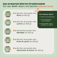Infografik mit 5 Produktabbildungen der 400g-Würfelpackungen: Je 3x Komplett-Mix Rind, Lamm und Geflügel, je 2x Huhn & Lachs sowie Kaninchen & Lamm. Rechts daneben: 1 Überraschungssnack, 1 Frischhaltedose zum auftauen, 1 gratis BARF-Guide im Wert von 9,90 €. Überschrift: Das erwartet Dich im Probierpaket - Für den BARF-Start mit Deinem adulten Hund