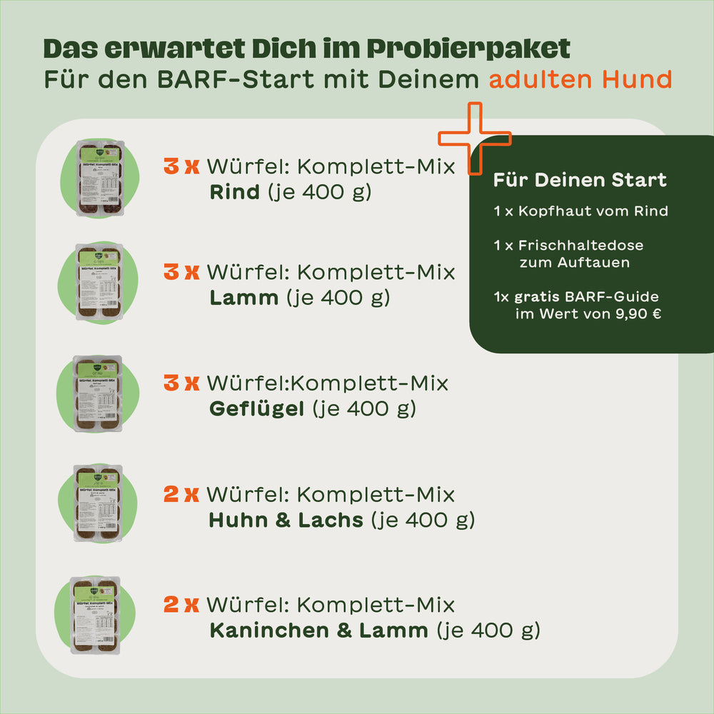 Infografik mit 5 Produktabbildungen der 400g-Würfelpackungen: Je 3x Komplett-Mix Rind, Lamm und Geflügel, je 2x Huhn & Lachs sowie Kaninchen & Lamm. Rechts daneben: 1 Kopfhaut vom Rind, 1 Frischhaltedose, 1 kostenloser BARF-Guide im Wert von 9,90 €. Überschrift: Das erwartet Dich im Probierpaket für kleine Hunde