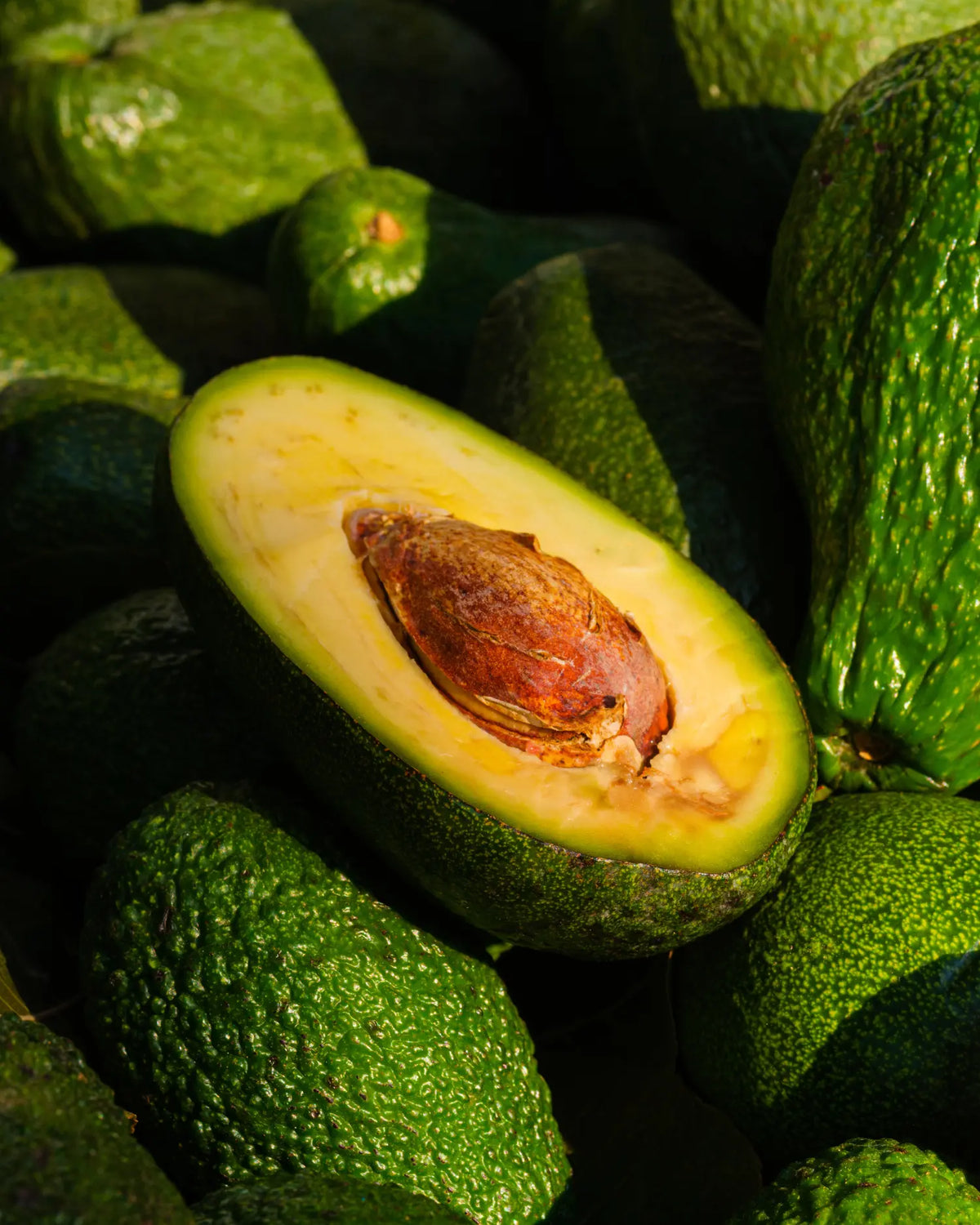 Nahaufnahme einer halben, aufgeschnittenen Avocado inklusive Kern