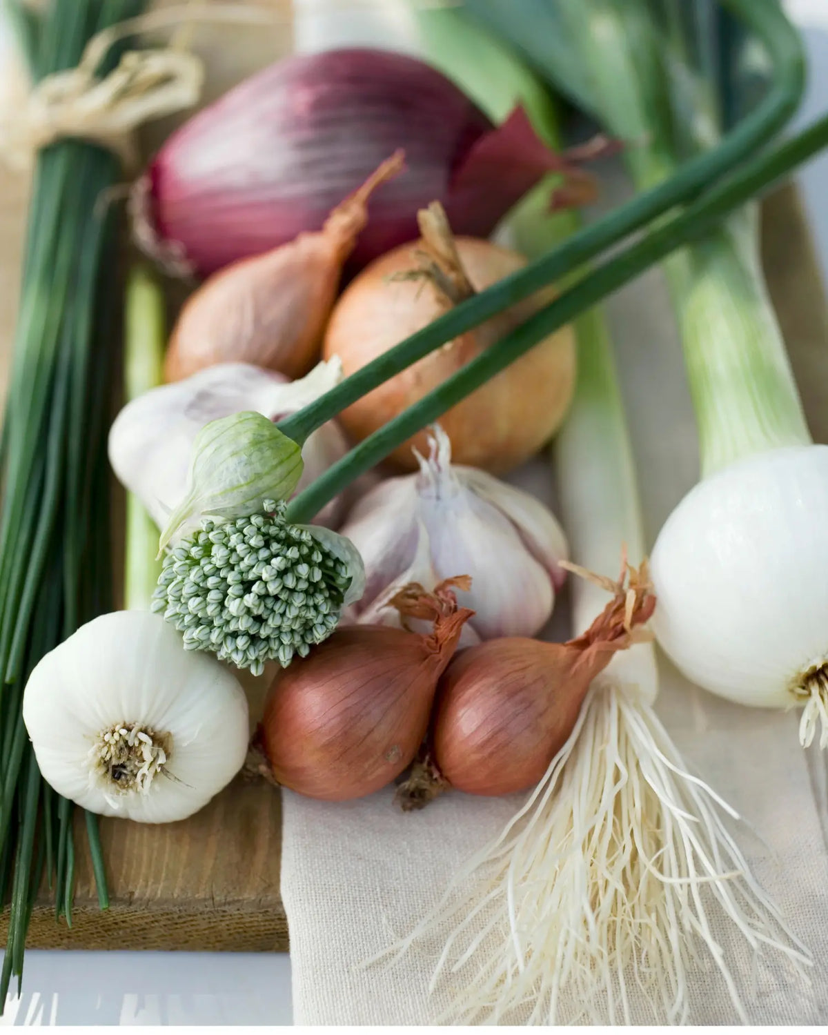 Verschiedene Zwiebelgewächse auf einem Tisch, rote und weiße Zwiebeln, Schalotten, Knoblauch, Frühlingszwiebeln und Lauch
