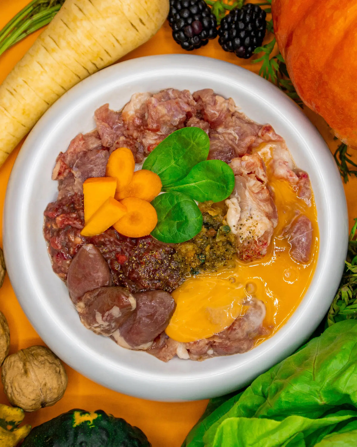 BARF-Napf für Hunde mit rohem Fleisch, Innereien, Eigelb und frischen Spinatblättern, dekorativ mit Karottenscheiben angerichtet, umgeben von Kürbis, Pastinake, Walnüssen und Brombeeren