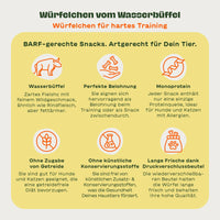 6 Illustrationen mit passendem Text zu den BARFER'S Leckerli "Würfelchen vom Wasserbüffel - Würfelchen für hartes Training": "Wasserbüffel", "Perfekte Belohnung", "Monoprotein", "Ohne Zugabe von Getreide", "Ohne künstliche Konservierungsstoffe" und "Lange Frische dank Druckverschlussbeutel"