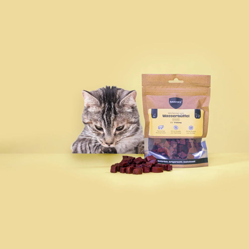 Eine schwarz-grau gestreifte Katze schaut Leckerli vom Wasserbüffel der Marke BARFER'S an, die neben einer vollen Verpackung "Würfelchen vom Wasserbüffel" liegen