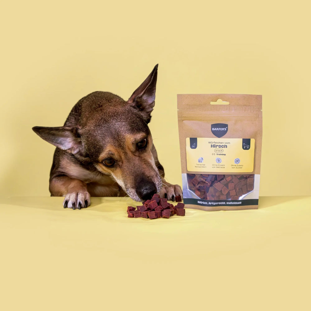Ein schwarz-brauner Hund beschnuppert Leckerli vom Hirsch der Marke BARFER'S, die neben einer vollen Verpackung "Würfelchen vom Hirsch" liegen
