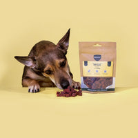 Ein schwarz-brauner Hund beschnuppert Leckerli vom Hirsch der Marke BARFER'S, die neben einer vollen Verpackung "Würfelchen vom Hirsch" liegen