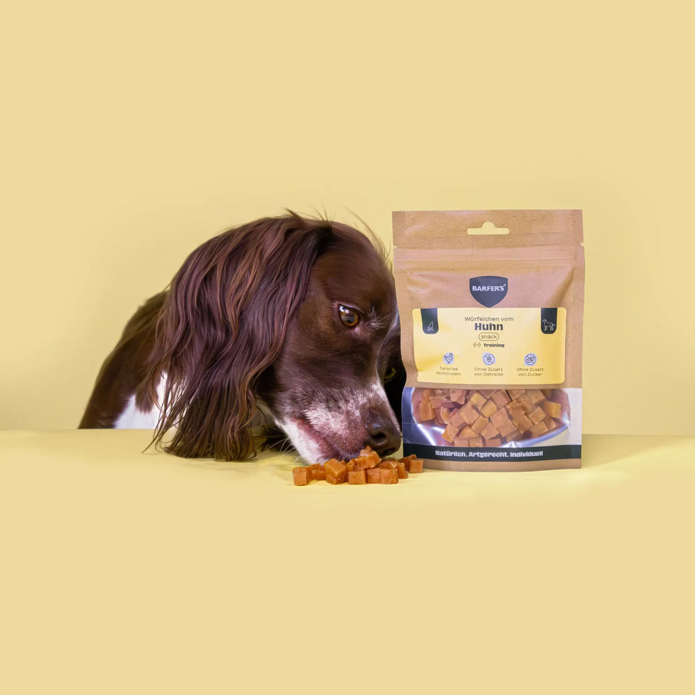 Ein braun-weißer Hund beschnuppert Leckerli vom Huhn der Marke BARFER'S, die neben einer vollen Verpackung "Würfelchen vom Huhn" liegen