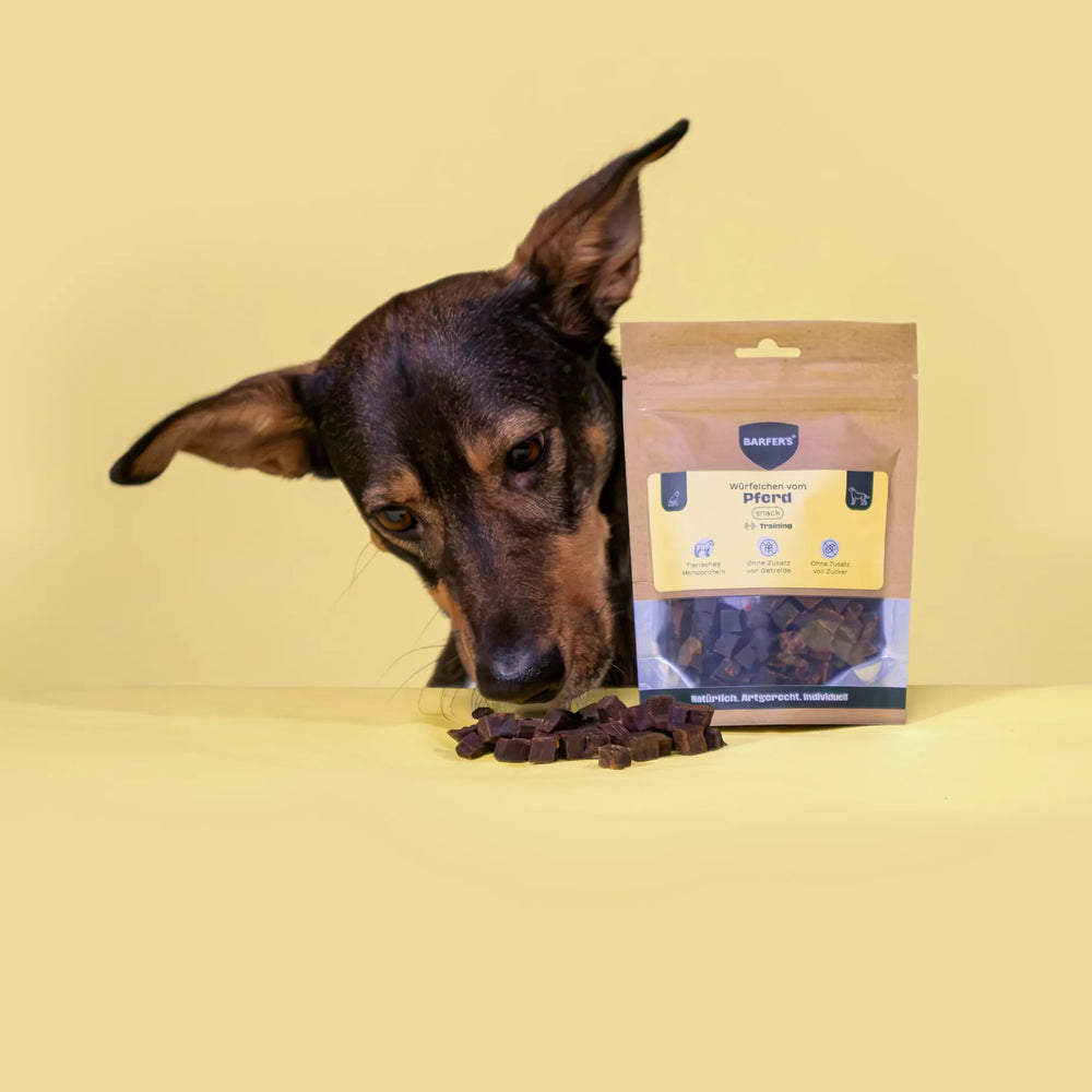 Ein schwarz-brauner Hund beschnuppert Leckerli vom Pferd der Marke BARFER'S, die neben einer vollen Verpackung "Würfelchen vom Pferd" liegen