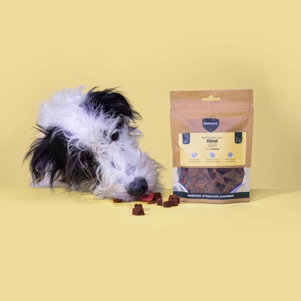 Ein schwarz-weißer Hund beschnuppert Leckerli vom Rind der Marke BARFER'S, die neben einer vollen Verpackung "Würfelchen vom Rind" liegen